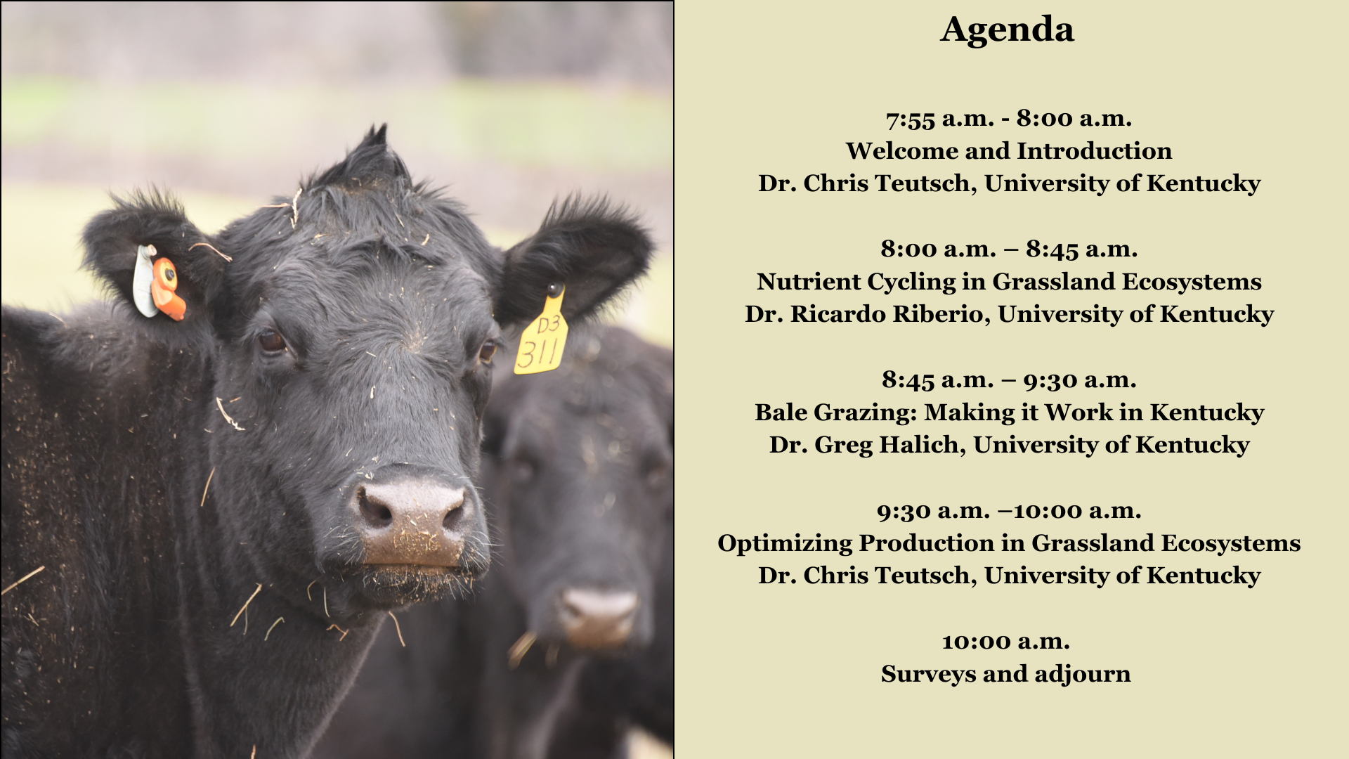 Agenda for Forage at KCA